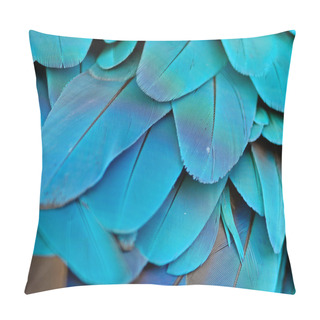 Personality  Blue And Gold Macaw Feathers Pillow Covers