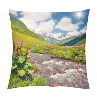 Personality  Colorful Summer View On The Pure Water River In Caucasus Mountains. Sunny Morning Scene On The Foot Of Shkhara Mountain, Ushguli Village Location, Upper Svaneti, Georgia, Europe. Pillow Covers
