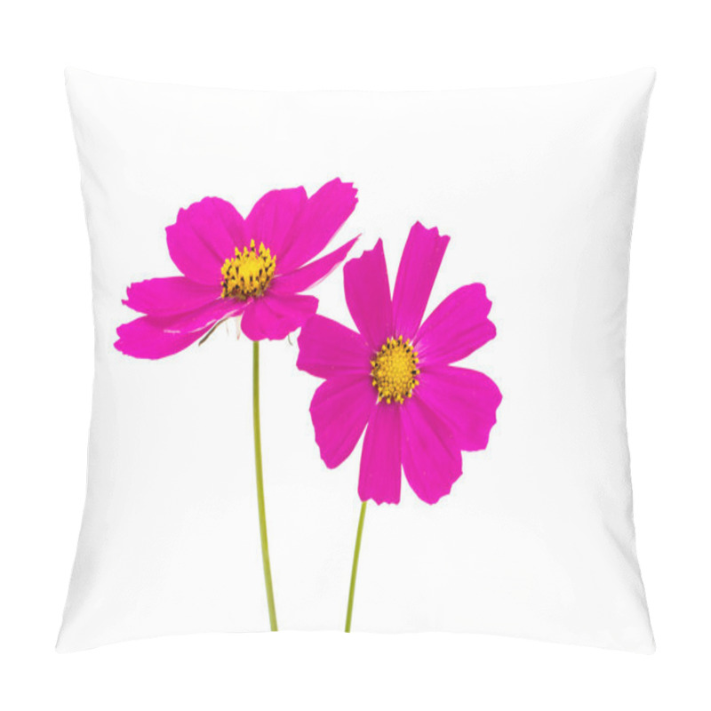 Personality  Cosmos Flowers  pillow covers