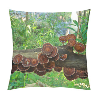 Personality  Wood Mushroom Pillow Covers