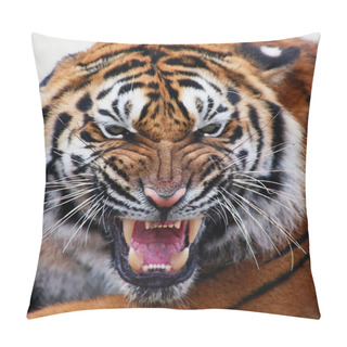 Personality  Tiger Isolated Pillow Covers