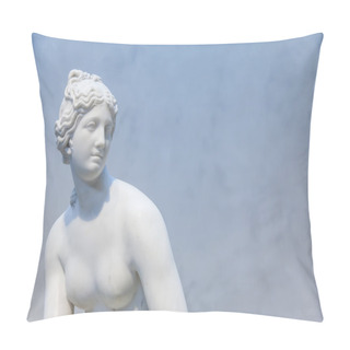 Personality  Venus Pillow Covers