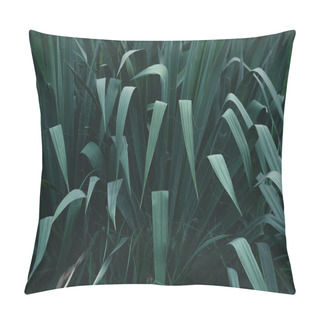 Personality  Full Frame Shot Of Green Bush For Background Pillow Covers