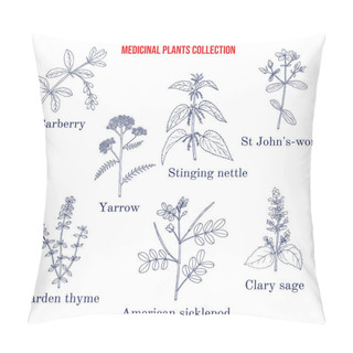 Personality  Set Of Different Medicinal Plants Pillow Covers