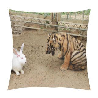 Personality  A Baby Siberian Tiger Snarls At A Rabbit At Qingdao Forest Wildlife World In Qingdao City, East Chinas Shandong Province, 10 September 2013 Pillow Covers