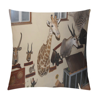 Personality  Big Game Hunting Trophies On The Wall Inside A House Pillow Covers