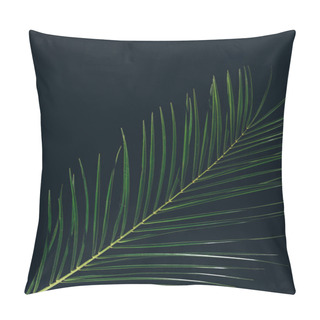 Personality  Top View Of Green Palm Leaves Isolated On Black Pillow Covers