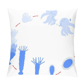 Personality  Developmental Stages Of Jellyfish Life Cycle Pillow Covers