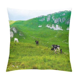 Personality  Cows Grazing On Green Pasture In Durmitor Massif, Montenegro Pillow Covers