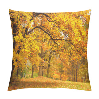 Personality  Autumn / Gold Trees In A Park Pillow Covers