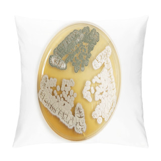 Personality  Genetically Modified Fungi Over White Pillow Covers