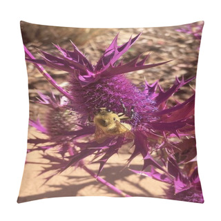 Personality  A Bumblebee On A Leavenworth`s Eryngo Eryngium Leavenworthii Pillow Covers
