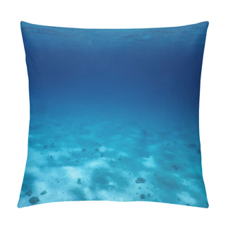 Personality  Sandy Sea Bottom Marine Life, Underwater Background Pillow Covers