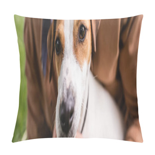Personality  Partial View Of Man Near White Jack Russell Terrier Dog With Brown Spots On Head, Horizontal Image Pillow Covers