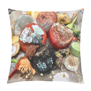 Personality  Different Sorts Of Rotten Fruits And Vegetables On Gray Paper  Pillow Covers