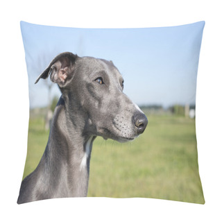 Personality  Gray Whippet Pillow Covers