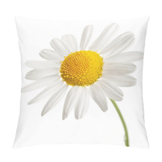 Personality  Chamomile Flower Isolated Pillow Covers