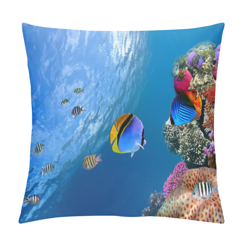 Personality  Threadfin butterflyfish (Chaetodon auriga), Red Sea, Egypt pillow covers