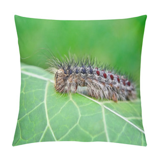 Personality  Gypsy Moth Caterpillar, Crawling On Young Leaves Pillow Covers