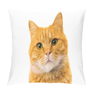 Personality  Ginger Cat Pillow Covers