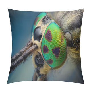 Personality  Portrait Of The Head Of Gadfly Pillow Covers