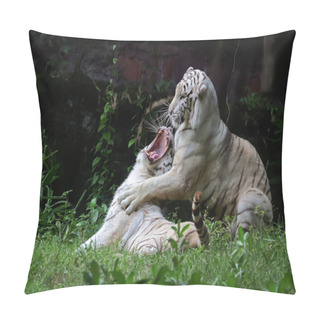 Personality  A Pair Of White Bengal Tigers Are Ready To Mate. This Big Cat Has The Scientific Name Panthera Tigris Tigris. Pillow Covers