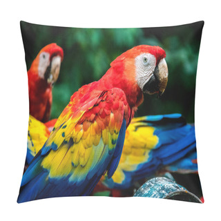 Personality  Scarlet Macaws - Copan, Honduras Pillow Covers