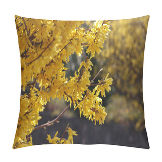 Personality  A Macro Shot Of Some Forsythia Bush Blooms Pillow Covers