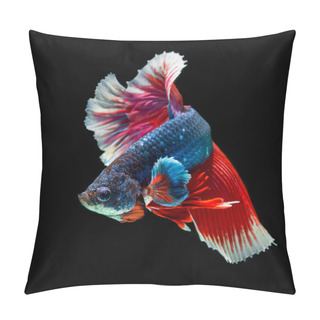 Personality  Fish Betta Halfmoon Red  Betta Isolated On Black Background. Pillow Covers