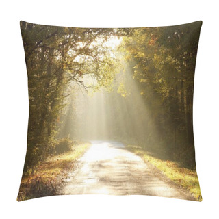 Personality  Road Through Autumn Forest At Sunrise Pillow Covers