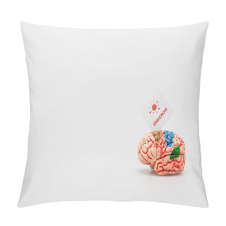 Personality  White Card With Omicron Lettering And Bacteria Icon Near Brain Model On Grey Background With Copy Space Pillow Covers