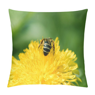 Personality  Bee Collecting Pollen Pillow Covers