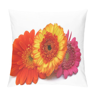 Personality  Gerbers Pillow Covers
