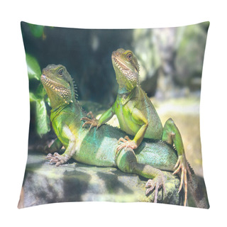 Personality  Lizard Families Together With The Couple In The Tree Is Looking To The Future  Pillow Covers