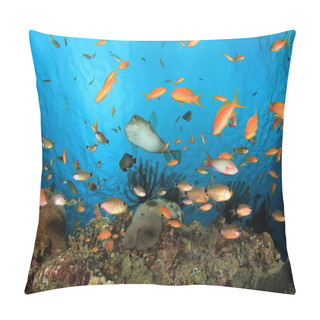 Personality  Marine Inhabitants In Deep Blue Ocean Pillow Covers