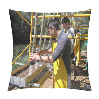 Personality  Atapuerca Fossil Site Pillow Covers
