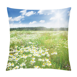 Personality  Field With Chamomile Flowers And Blue Sky Pillow Covers