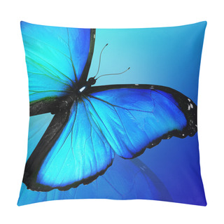 Personality  Blue Butterfly On Blue Background Pillow Covers