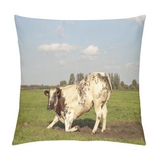 Personality  Kneeling Beef Cow Or Rising Up Beef Cow, Brown Spotted, Freckles, In A Meadow And Sky With Clouds. Pillow Covers