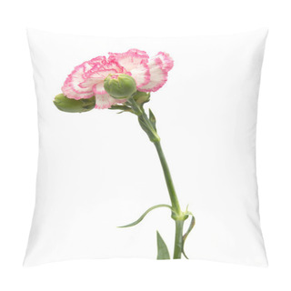 Personality  Vareigated Carnation Flowers Pillow Covers