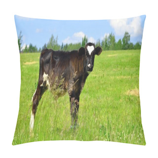 Personality  Calf At The Green Against Blue Sky Pillow Covers