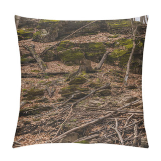 Personality  Stones In Moss And Dry Leaves In Mountain Forest  Pillow Covers