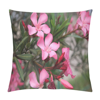 Personality  Pink Flowers Of Oleander. Pillow Covers
