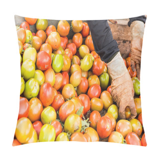 Personality  Human Hands Holding Fresh Ripe Tomatoes.  Pillow Covers