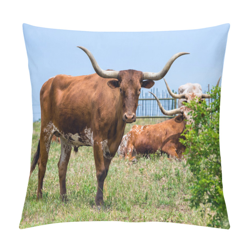 Personality  Texas Longhorn cattle pillow covers