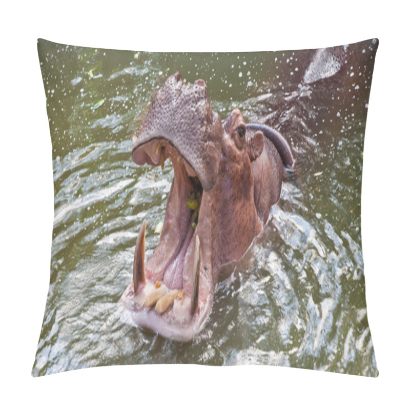 Personality  Hippopotamus In A Zoo Pillow Covers