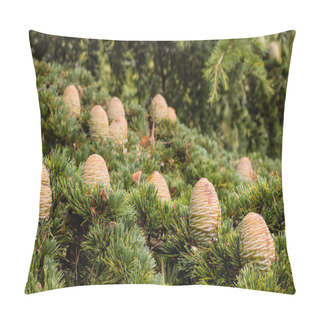 Personality  Fir Tree Cones And Needles Pillow Covers