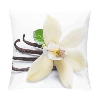 Personality  Dried Vanilla Sticks And Orchid Vanilla Flower Isolated On White Pillow Covers