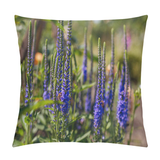 Personality  Blue Veronica Blooming In Summer Garden. Close Up Of Flowering Spikes With Bees. Landscaping Flower Borders. Gardening Pillow Covers