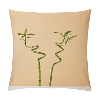 Personality  White Table And Green Bamboo Stems On Beige Background Pillow Covers